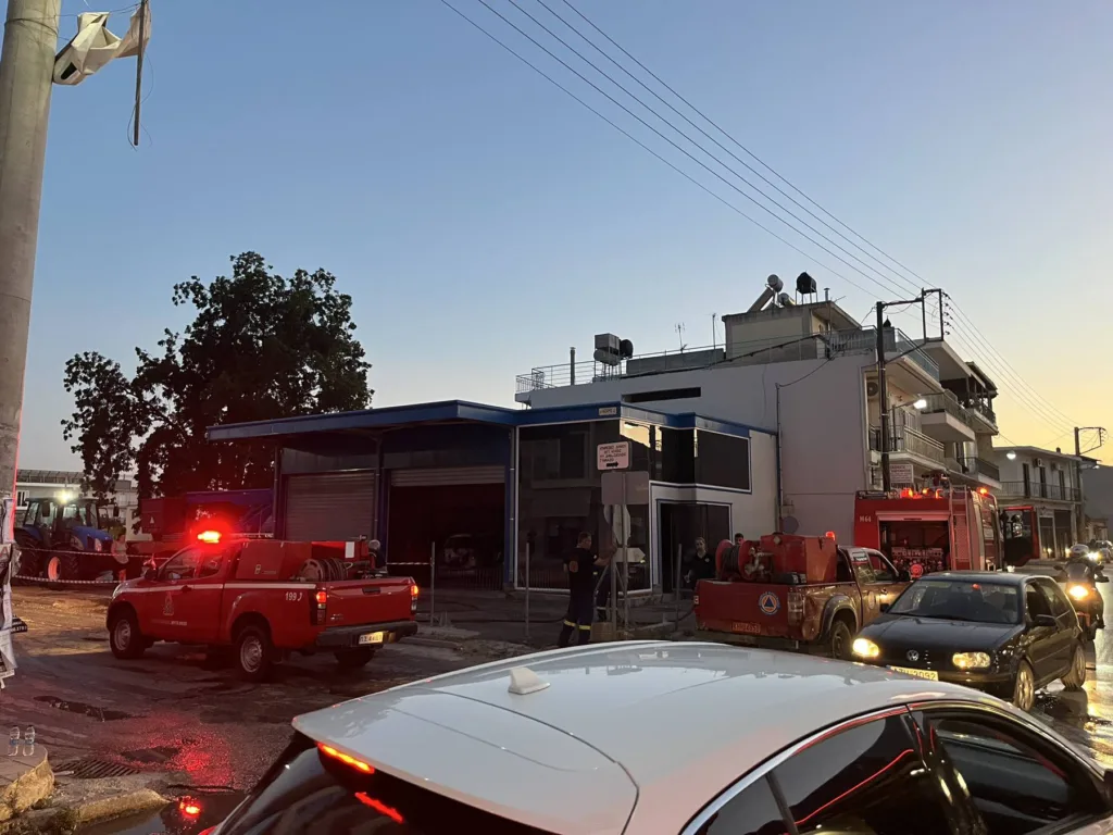 Πυρκαγιά σε επιχείρηση στην Κάτω Αχαΐα, κινητοποίηση Πυροσβεστικής και εθελοντών ΦΩΤΟ