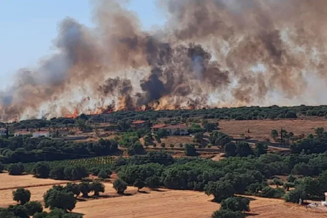 Ηχησε το «112» για πυρκαγιά στην Κεφαλονιά - Εκκενώνονται τρία χωριά, τι λέει ο Δήμαρχος, κοντά σε σπίτια οι φλόγες, ενισχύθηκαν οι δυνάμεις