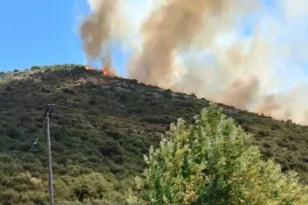 Φωτιά σε δασική έκταση στο Λιβάδι Καλαβρύτων – Μήνυμα 112 στους κατοίκους ΦΩΤΟ – ΒΙΝΤΕΟ
