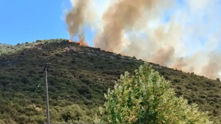 Αχαΐα: Φωτιά σε δασική έκταση στο Λιβάδι Καλαβρύτων – Μήνυμα 112 στους κατοίκους, επιχειρούν και εναέρια μέσα ΦΩΤΟ - ΒΙΝΤΕΟ
