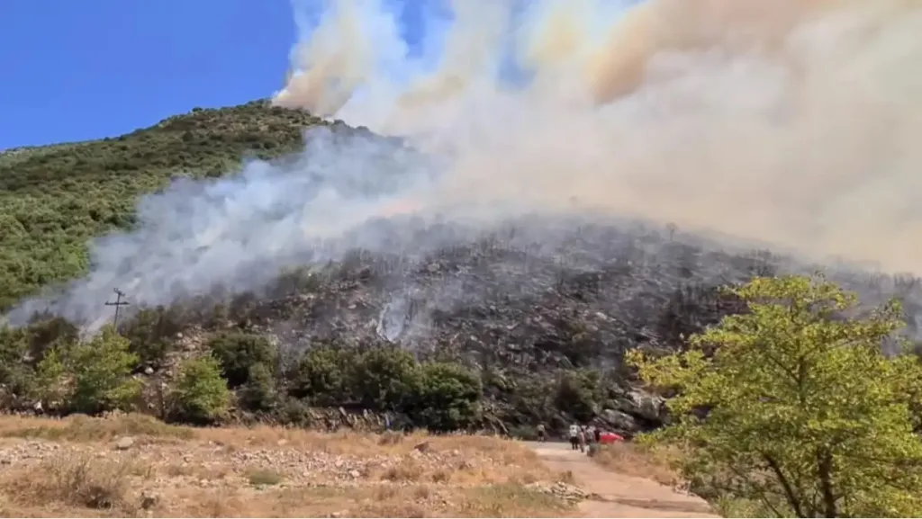 Αχαΐα: Φωτιά σε δασική έκταση στο Λιβάδι Καλαβρύτων – Μήνυμα 112 στους κατοίκους, επιχειρούν και εναέρια μέσα ΦΩΤΟ - ΒΙΝΤΕΟ