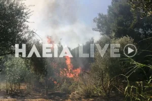 Ηλεία: Ανεξέλεγκτη η μεγάλη φωτιά στα Λεχαινά, ήχησε το 112, ενισχύθηκαν οι πυροσβεστικές δυνάμεις ΝΕΟΤΕΡΑ - ΦΩΤΟ