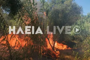 Ηλεία: Ανεξέλεγκτη η μεγάλη φωτιά στα Λεχαινά, ήχησε το 112, ενισχύθηκαν οι πυροσβεστικές δυνάμεις ΝΕΟΤΕΡΑ - ΦΩΤΟ