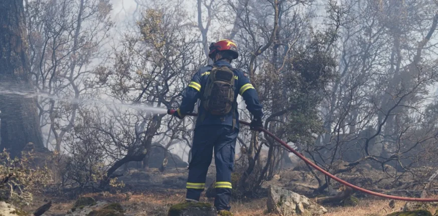 Μυτιλήνη: Ένας 57χρονος ομολόγησε τέσσερις εμπρησμούς - Έκαψε ακόμα και νταλίκα με άχυρα