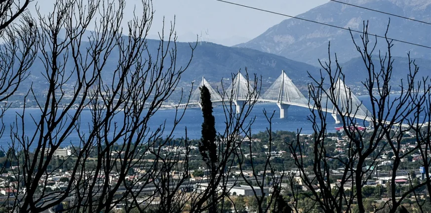 Μάχη με μικροεστίες σε Ρωμανό και Αρόη: Συνεχίζεται η επιχείρηση μέσα και γύρω από τον αστικό ιστό της Πάτρας, πού έχει κοπεί η κυκλοφορία Μάχη με μικροεστίες σε Ρωμανό και Αρόη: Συνεχίζεται η επιχείρηση μέσα και γύρω από τον αστικό ιστό της Πάτρας, πού έχει κοπεί η κυκλοφορία