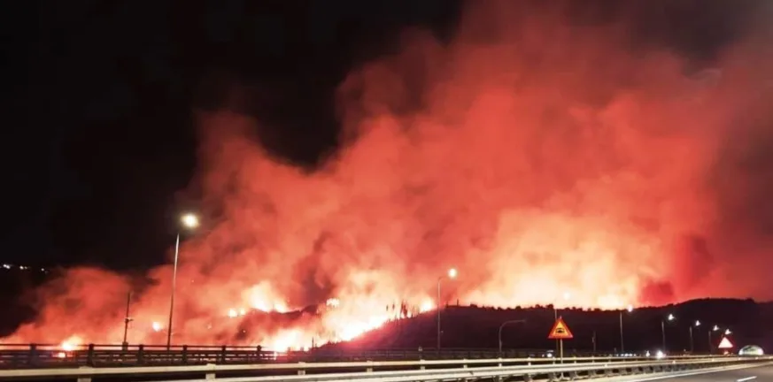 Εκτός ελέγχου η φωτιά στα Συχαινά Πατρών, μηνύματα για εκκενώσεις, επιχειρούν αεροσκάφη ΝΕΟΤΕΡΑ -ΦΩΤΟ - ΒΙΝΤΕΟ Εκτός ελέγχου η φωτιά στα Συχαινά Πατρών, μηνύματα για εκκενώσεις, επιχειρούν αεροσκάφη ΝΕΟΤΕΡΑ -ΦΩΤΟ - ΒΙΝΤΕΟ