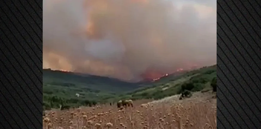 Μεγάλη φωτιά στον Τύρναβο: Μάχη με τις φλόγες σε δύσβατη δασική περιοχή Μεγάλη φωτιά στον Τύρναβο: Μάχη με τις φλόγες σε δύσβατη δασική περιοχή