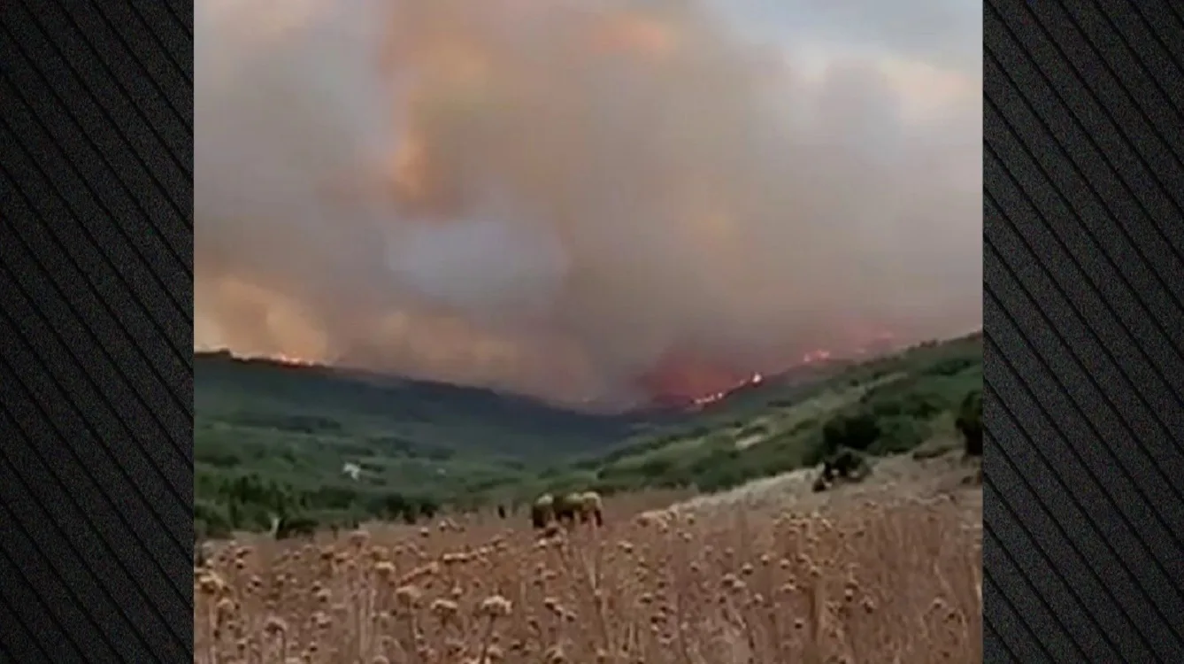 Μεγάλη φωτιά στον Τύρναβο: Μάχη με τις φλόγες σε δύσβατη δασική περιοχή