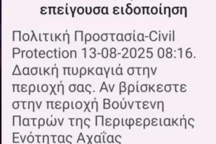 Φωτιά Συχαινά Πατρών: Νέο μήνυμα από το «112»
