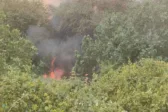 Η φωτιά “πλήγωσε” τη Βούντενη – Κλειστός ο αρχαιολογικός χώρος μέχρι νεωτέρας