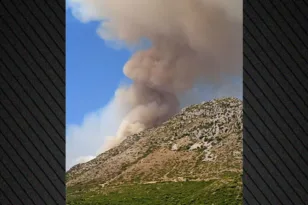 Φωτιά (και) στη Χόικα Θεσπρωτίας