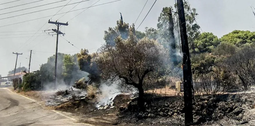 Φωτιά στη Ζάκυνθο: Ζημιές σε σπίτια από την πυρκαγιά, τεράστια μάχη με τις φλόγες