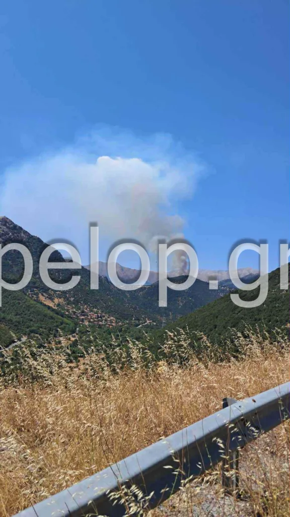 Αχαΐα: Φωτιά σε δασική έκταση στο Λιβάδι Καλαβρύτων – Μήνυμα 112 στους κατοίκους, επιχειρούν και εναέρια μέσα ΦΩΤΟ - ΒΙΝΤΕΟ