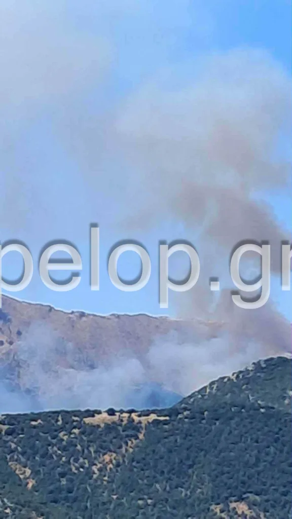 Αχαΐα: Φωτιά σε δασική έκταση στο Λιβάδι Καλαβρύτων – Μήνυμα 112 στους κατοίκους, επιχειρούν και εναέρια μέσα ΦΩΤΟ - ΒΙΝΤΕΟ