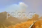 Καταγγελίες για εμπρησμό στη φωτιά στο Λειβαρζινό Καλαβρύτων