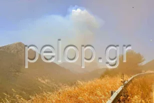 Καταγγελίες για εμπρησμό στη φωτιά στο Λειβαρζινό Καλαβρύτων