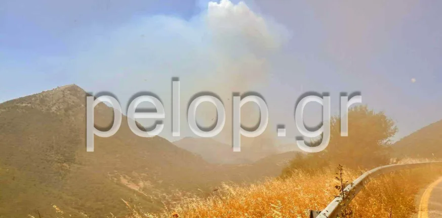 Καταγγελίες για εμπρησμό στη φωτιά στο Λειβαρζινό Καλαβρύτων