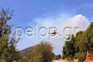 Αχαΐα: Φωτιά σε δασική έκταση στο Λιβάδι Καλαβρύτων – Μήνυμα 112 στους κατοίκους, επιχειρούν και εναέρια μέσα ΦΩΤΟ – ΒΙΝΤΕΟ