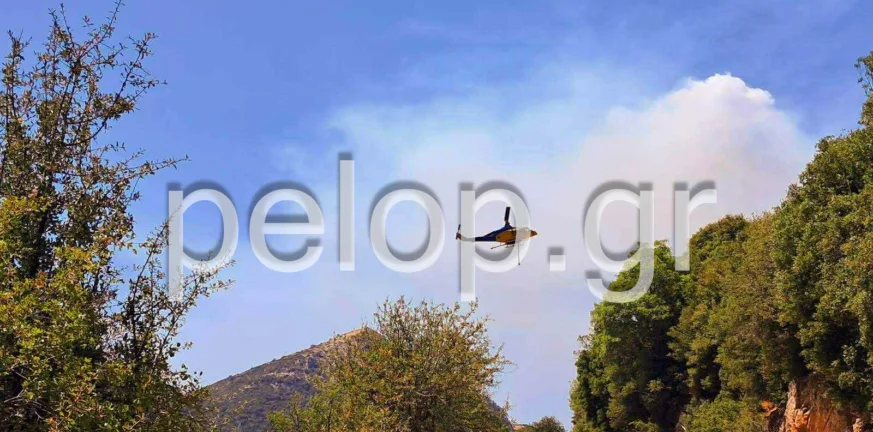 Αχαΐα: Φωτιά σε δασική έκταση στο Λιβάδι Καλαβρύτων – Μήνυμα 112 στους κατοίκους, επιχειρούν και εναέρια μέσα ΦΩΤΟ - ΒΙΝΤΕΟ