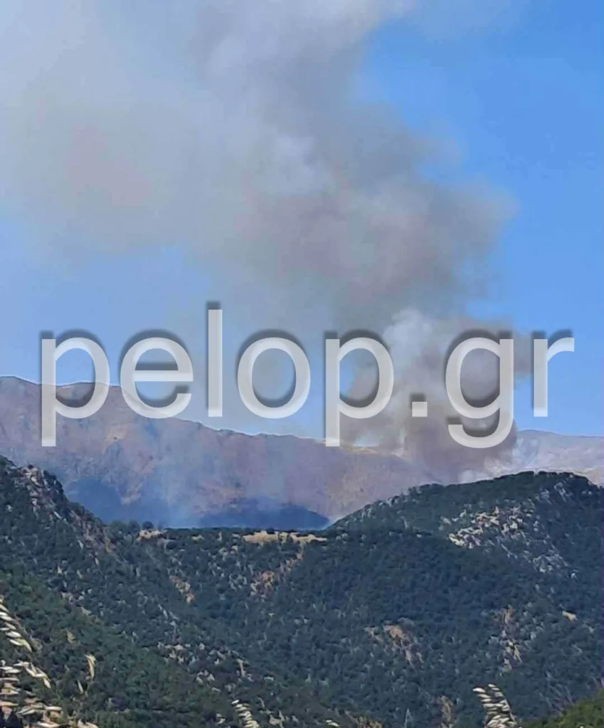 Αχαΐα: Φωτιά σε δασική έκταση στο Λιβάδι Καλαβρύτων – Μήνυμα 112 στους κατοίκους, επιχειρούν και εναέρια μέσα ΦΩΤΟ - ΒΙΝΤΕΟ