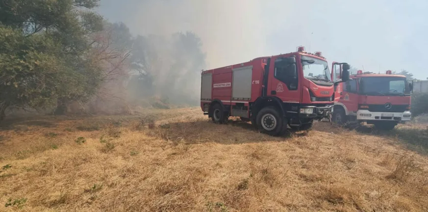 Ροδόπη: Σε δύο μέτωπα η φωτιά στην Κομοτηνή, εντολή απομάκρυνσης μέσω 112 ΒΙΝΤΕΟ Ροδόπη: Σε δύο μέτωπα η φωτιά στην Κομοτηνή, εντολή απομάκρυνσης μέσω 112 ΒΙΝΤΕΟ