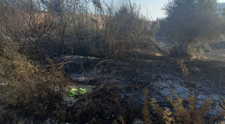 Πάτρα: Σε διαρκή επιφυλακή οι δυνάμεις για αναζωπυρώσεις Πάτρα: Σε διαρκή επιφυλακή οι δυνάμεις για αναζωπυρώσεις