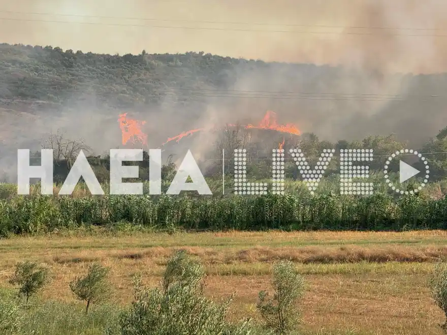 Χελιδόνι της Αρχαίας Ολυμπίας: Συγκλονιστικές εικόνες από τη μάχη με τις φλόγες, ΦΩΤΟ, ΒΙΝΤΕΟ