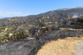 Υπόμνημα του Δήμου Πατρέων στην κυβέρνηση για τις φωτιές, τι ζητά από τα Υπουργεία