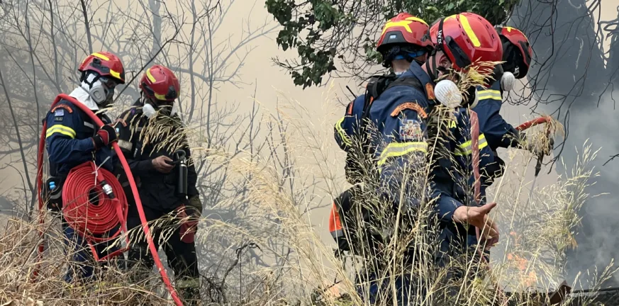 Πυρκαγιές: Ποια στοιχεία εξετάζουν οι Αρχές για εμπρησμούς σε όλη την Ελλάδα - Τα δεδομένα για την Αχαΐα Πυρκαγιές: Ποια στοιχεία εξετάζουν οι Αρχές για εμπρησμούς σε όλη την Ελλάδα - Τα δεδομένα για την Αχαΐα