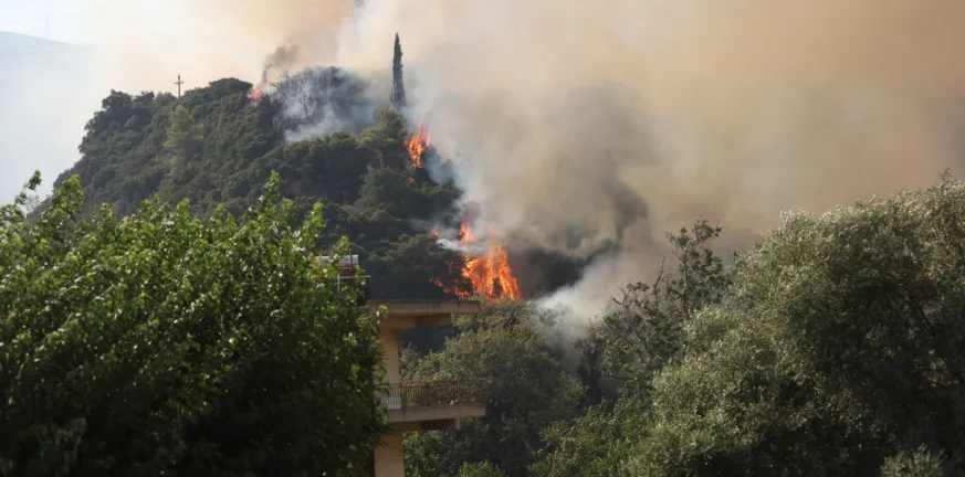 Φωτιές στην Αχαΐας - Πανεπιστήμιο Πατρών: Σε πλήρη ετοιμότητα για τη στήριξη των πληγέντων από τις πυρκαγιές