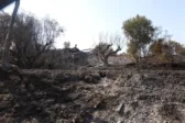 Έκκληση της ΝΔ Δυτικής Αχαΐας για άμεση στήριξη των πυρόπληκτων