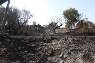 Έκκληση της ΝΔ Δυτικής Αχαΐας για άμεση στήριξη των πυρόπληκτων