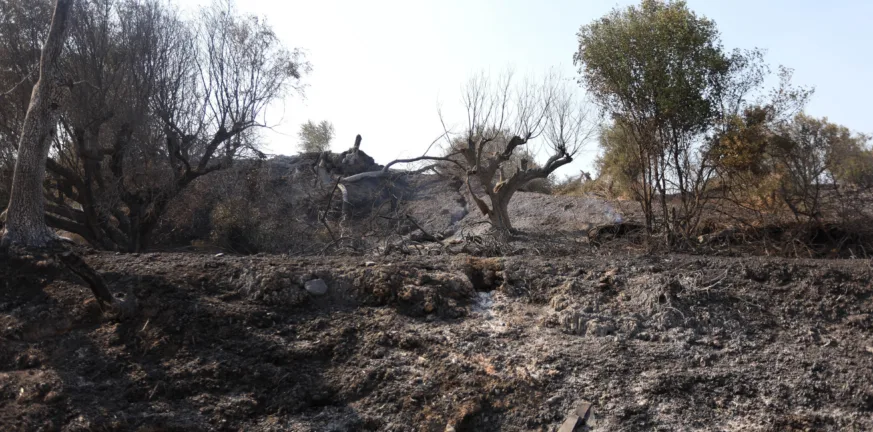 Έκκληση της ΝΔ Δυτικής Αχαΐας για άμεση στήριξη των πυρόπληκτων