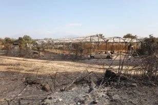 Δυτική Ελλάδα: Ποιες περιοχές κηρύχθηκαν σε κατάσταση έκτακτης ανάγκης