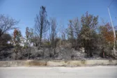 Πάτρα: Αυτά ζητούν οι κάτοικοι των Μποζαϊτίκων για προστασία μετά τις πυρκαγιές