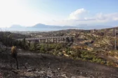 Αχαΐα: Ανάγκες για έργα μετά τις φωτιές - Το παρελθόν της Αιγιάλειας δείχνει τι πρέπει να γίνει