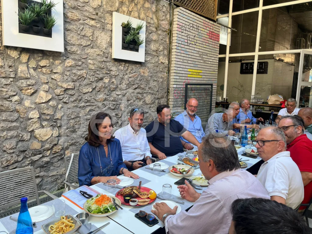Άννα Διαμαντοπούλου από την Αχαΐα: «Οι κυβερνητικές υποσχέσεις δεν μπορούν να γίνουν πιστευτές» ΒΙΝΤΕΟ