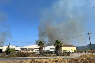 Πυκνός καπνός στην Καλαμάτα: Μεγάλη φωτιά στην περιοχή “Παναγάκια” κοντά σε καταυλισμό Ρομά