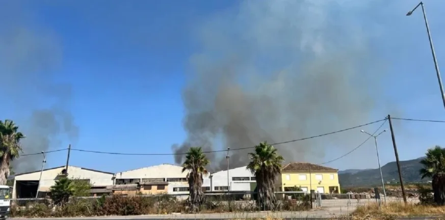 Πυκνός καπνός στην Καλαμάτα: Μεγάλη φωτιά στην περιοχή “Παναγάκια” κοντά σε καταυλισμό Ρομά Πυκνός καπνός στην Καλαμάτα: Μεγάλη φωτιά στην περιοχή “Παναγάκια” κοντά σε καταυλισμό Ρομά