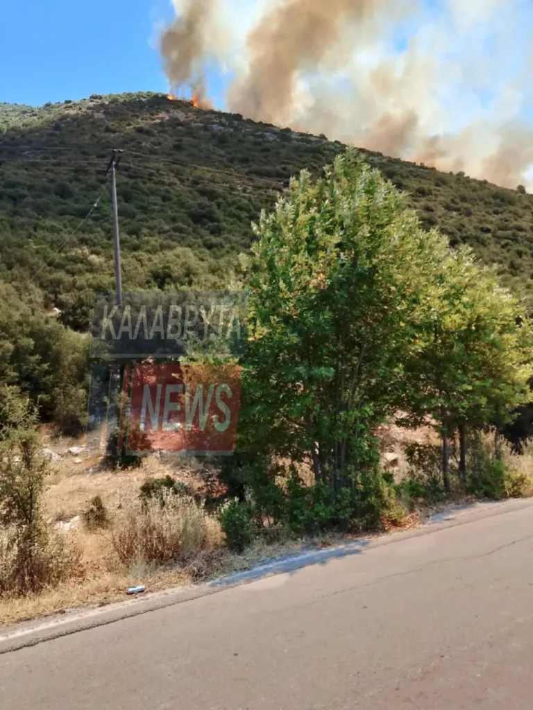 Φωτιά σε δασική έκταση στο Λιβάδι Καλαβρύτων – Μήνυμα 112 στους κατοίκους ΦΩΤΟ - ΒΙΝΤΕΟ