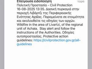 Φωτιά σε δασική έκταση στο Λιβάδι Καλαβρύτων – Μήνυμα 112 στους κατοίκους ΦΩΤΟ - ΒΙΝΤΕΟ