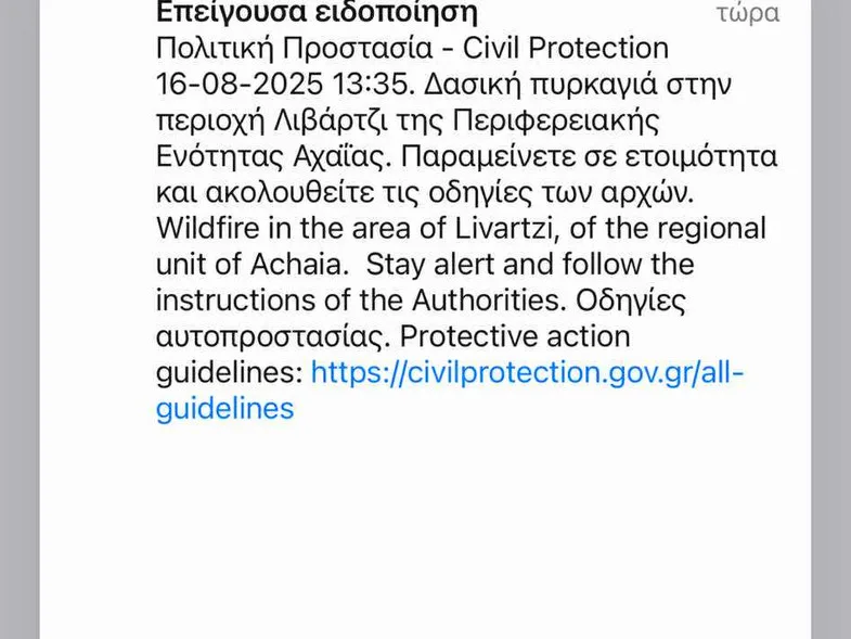 Αχαΐα: Φωτιά σε δασική έκταση στο Λιβάδι Καλαβρύτων – Μήνυμα 112 στους κατοίκους, επιχειρούν και εναέρια μέσα ΦΩΤΟ - ΒΙΝΤΕΟ