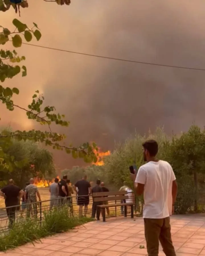 Πυρκαγιά στην Αχαΐα: Διένυσε 25χλμ. καίγοντας σπίτια, επιχειρήσεις και καλλιέργεις ΦΩΤΟΡΕΠΟΡΤΑΖ