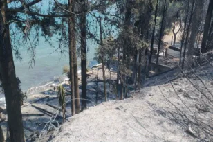 Το "Καμίνι" έγινε στάχτη – Στις φλόγες η ιστορική ψησταριά των Καμινίων ΦΩΤΟ-ΒΙΝΤΕΟ