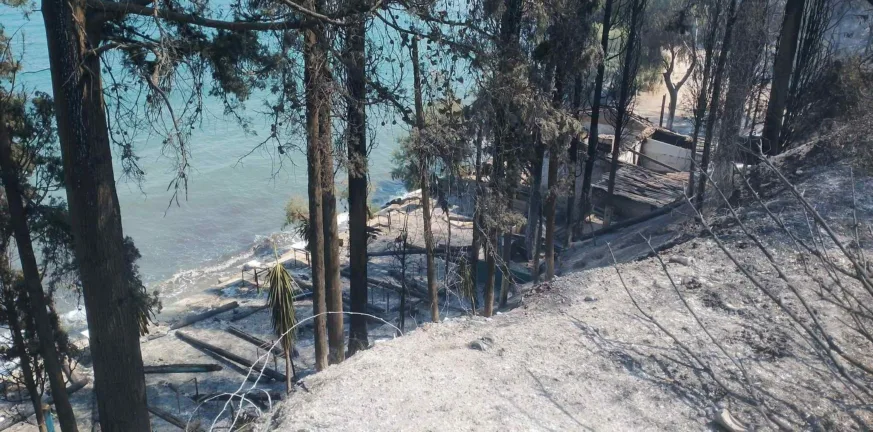 Το "Καμίνι" έγινε στάχτη – Στις φλόγες η ιστορική ψησταριά των Καμινίων ΦΩΤΟ-ΒΙΝΤΕΟ