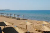 Κουρούτα: Η δυνατή μουσική έφερε συλλήψεις – Δύο υπεύθυνοι καταστημάτων στον εισαγγελέα