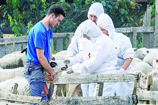 Ευλογιά των αιγοπροβάτων: Πέρασε ο ιός σε 16 μονάδες εκτροφής ζώων – Εκκληση Α. Φίλια για τήρηση των μέτρων πρόληψης