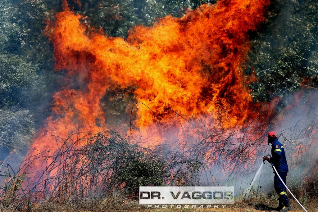 Λεχαινά: Υπό έλεγχο η φωτιά στην περιοχή Μέλισσα, μάχη με τις φλόγες σε ξηρά και αέρα, ΦΩΤΟ, ΒΙΝΤΕΟ