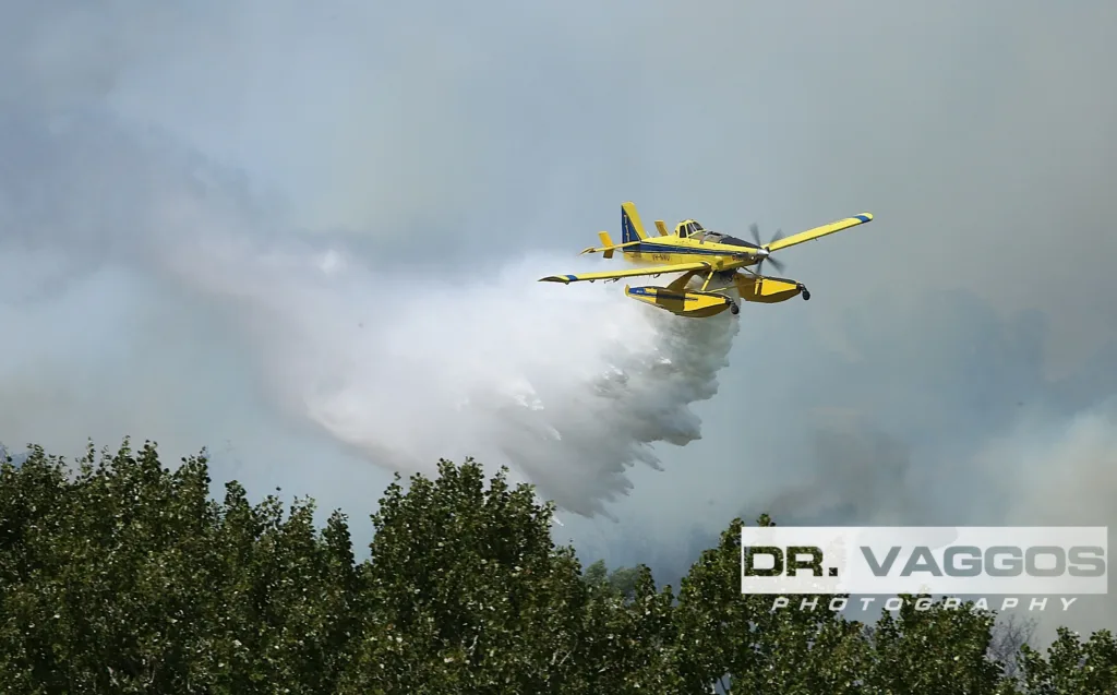 Λεχαινά: Υπό έλεγχο η φωτιά στην περιοχή Μέλισσα, μάχη με τις φλόγες σε ξηρά και αέρα, ΦΩΤΟ, ΒΙΝΤΕΟ