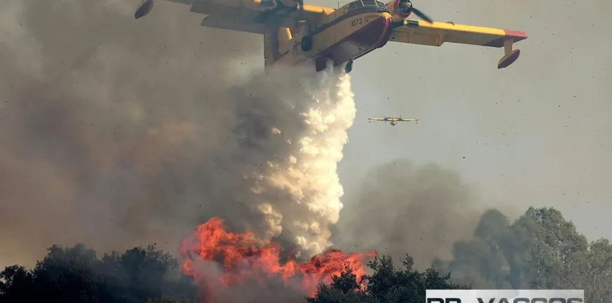 Λεχαινά: Υπό έλεγχο η φωτιά στην περιοχή Μέλισσα, μάχη με τις φλόγες σε ξηρά και αέρα, ΦΩΤΟ, ΒΙΝΤΕΟ